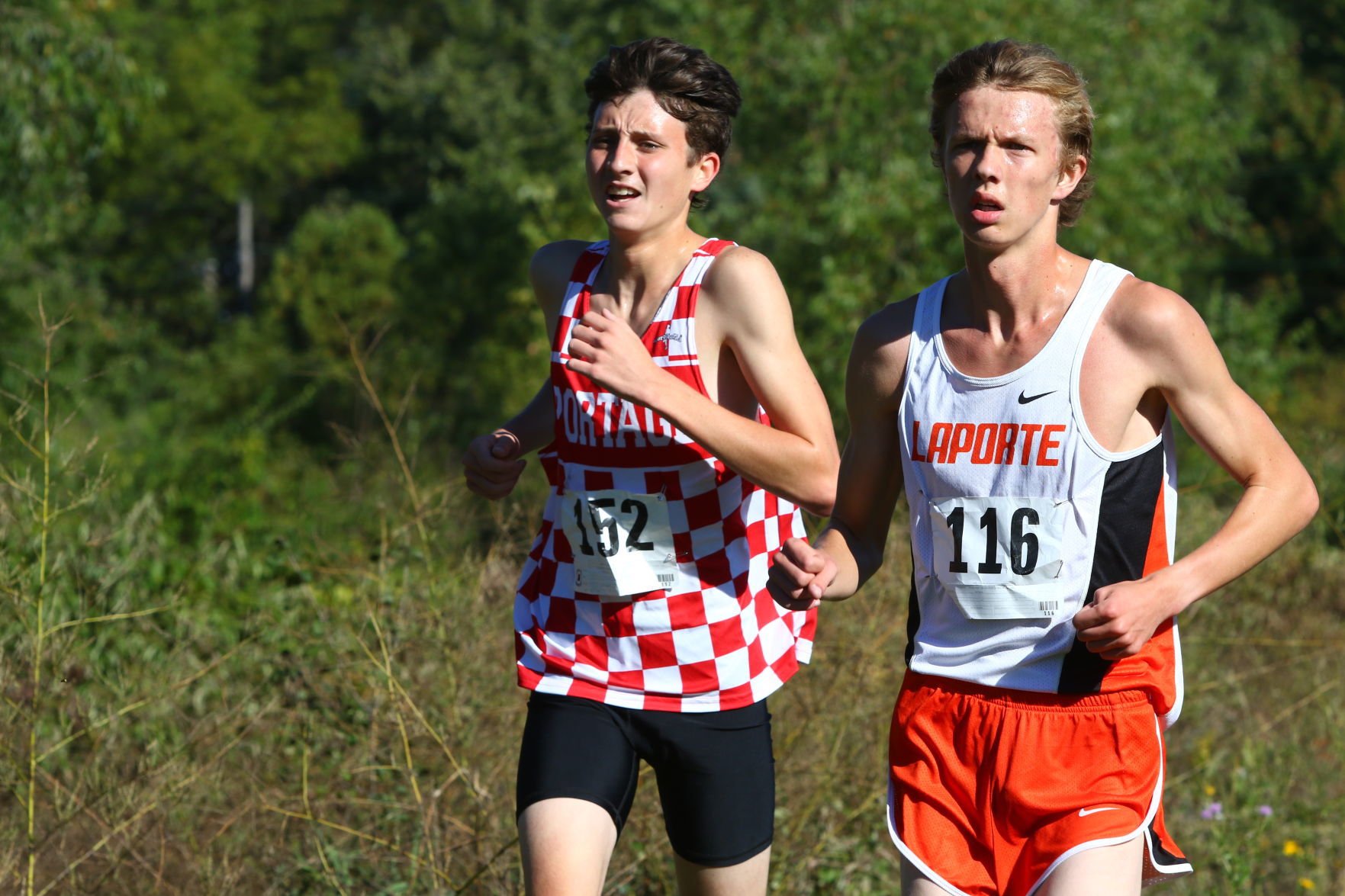 Gallery: Duneland Athletic Conference cross country meet